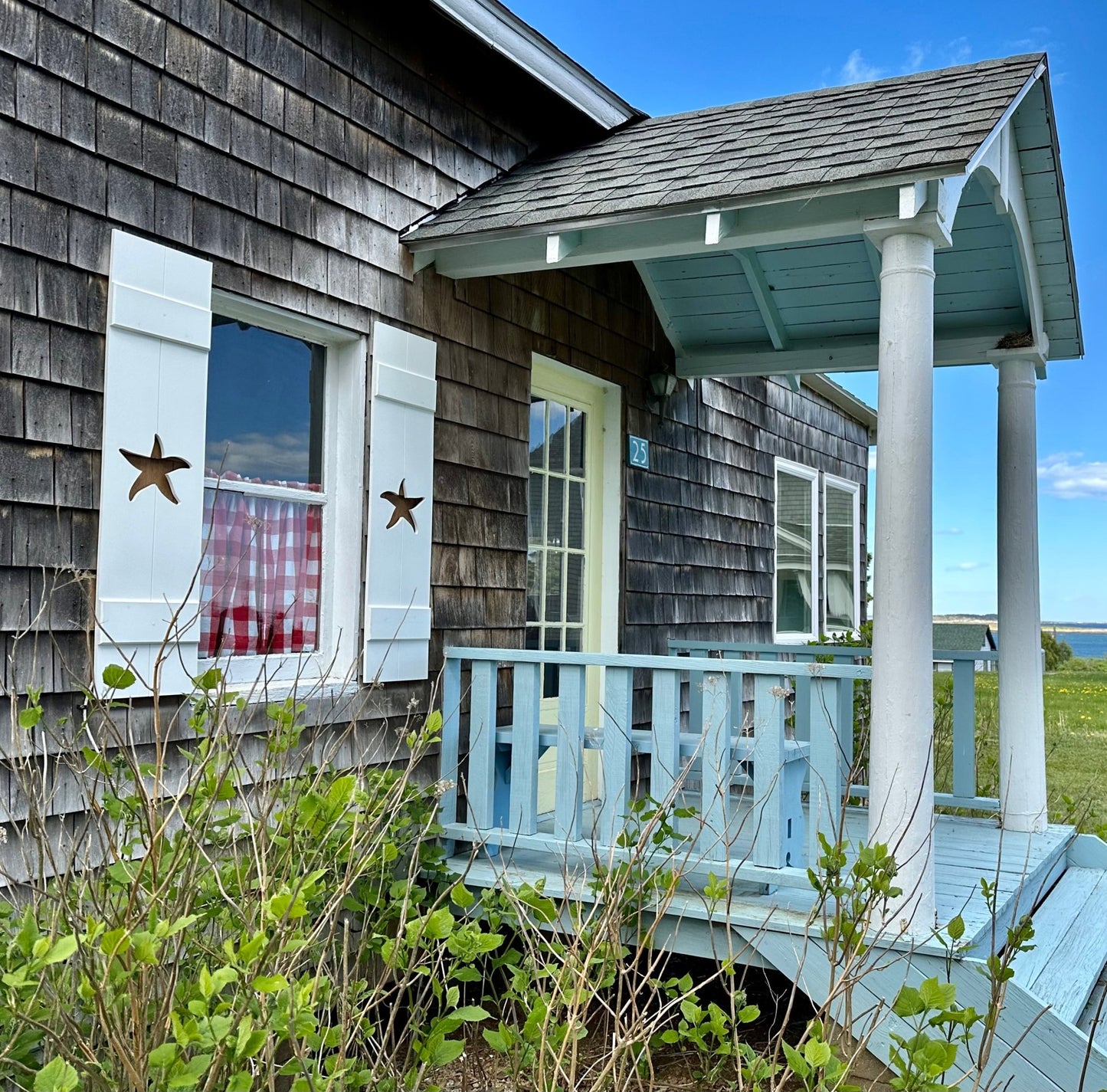 Starfish Exterior Shutter, Sold Individually - High Springs Shutter Company