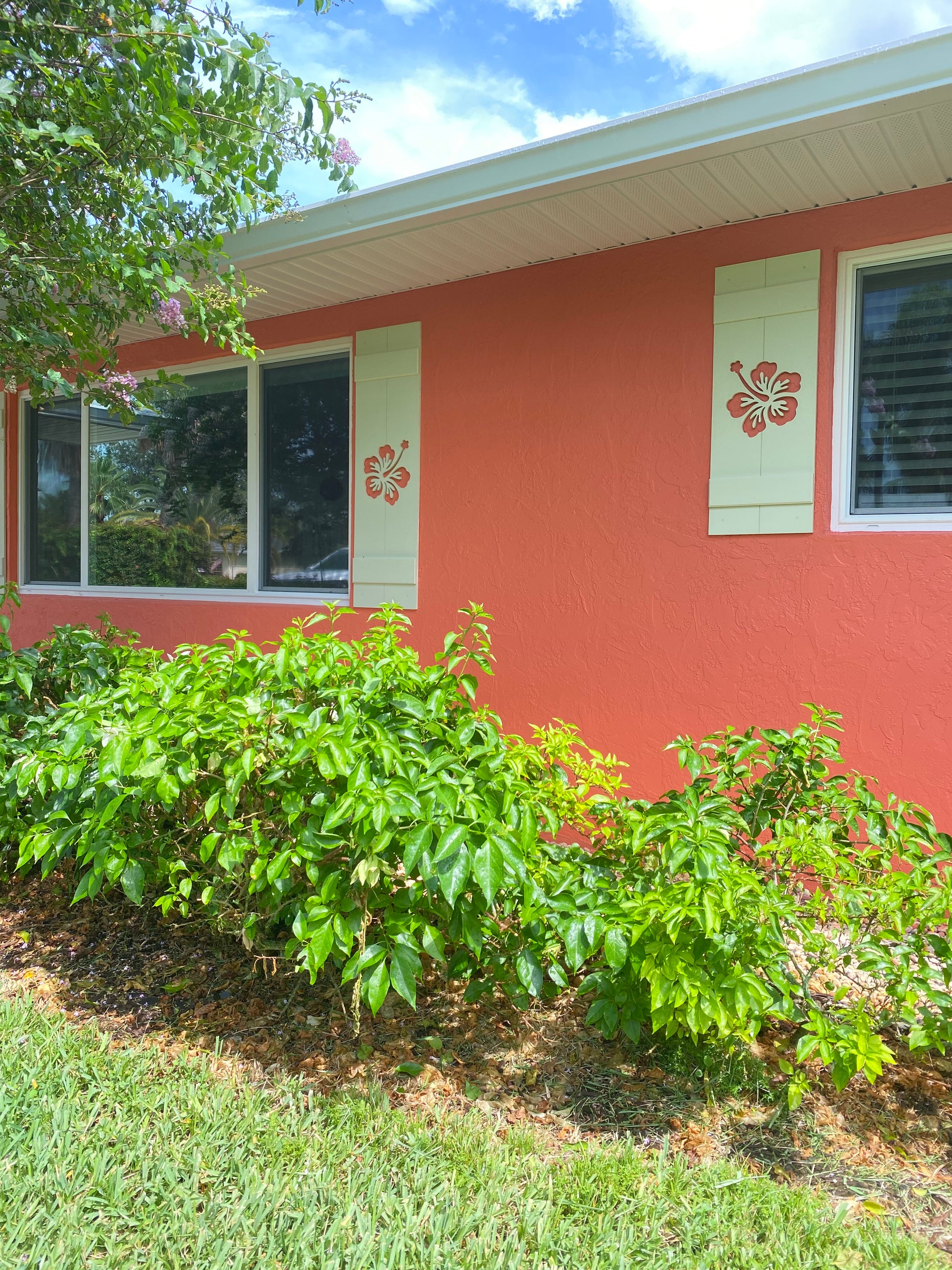 Shutter with a flower cut out on a coral house